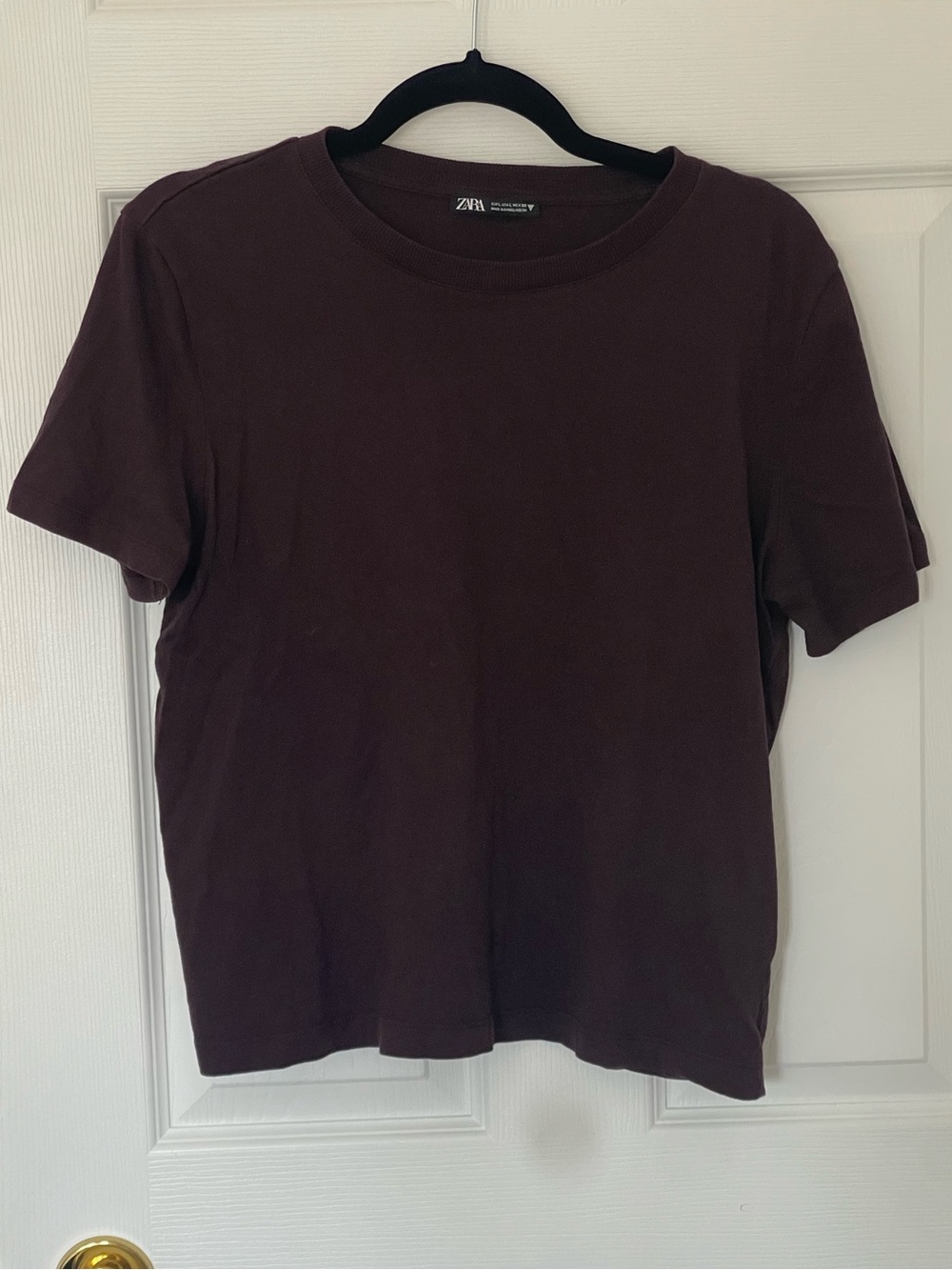 Zara Brown Boxy T-Shirt